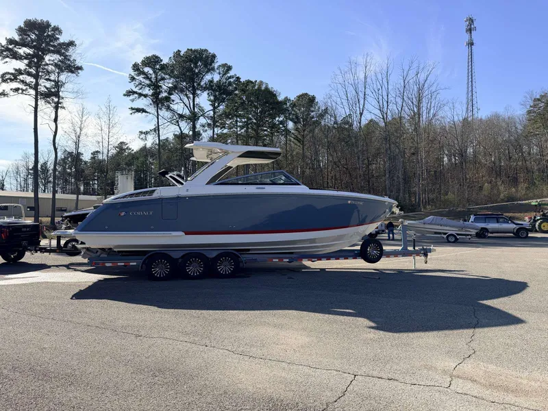 The Image of Cobalt R33 2023 - 1