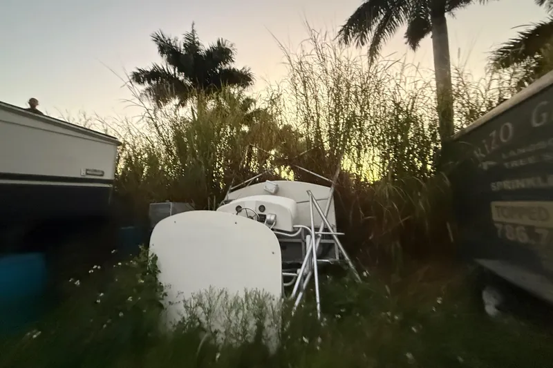 Slide: The Image of 1995 Bertram 46 Moppie boat surrounded by tall grass and palm trees at sunset. - 24