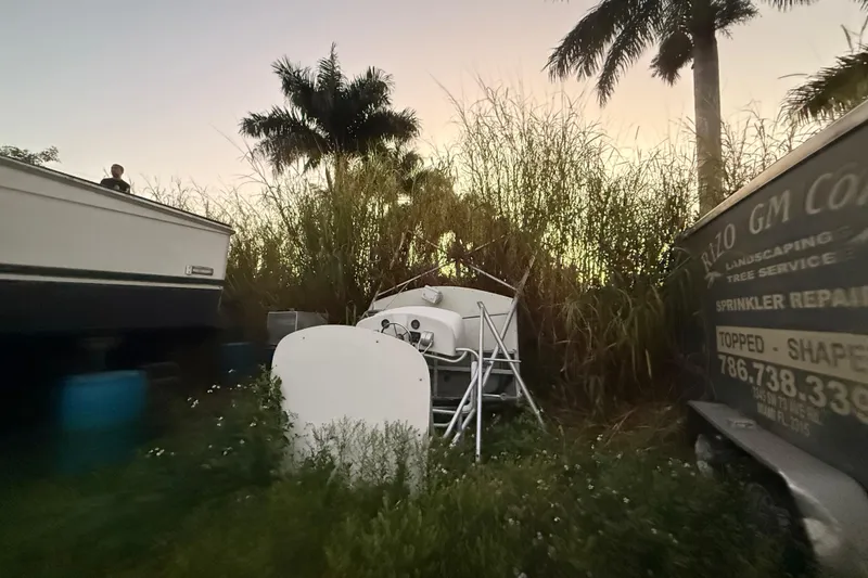 Slide: The Image of 1995 Bertram 46 Moppie boat surrounded by tall grass and palm trees at sunset. - 25