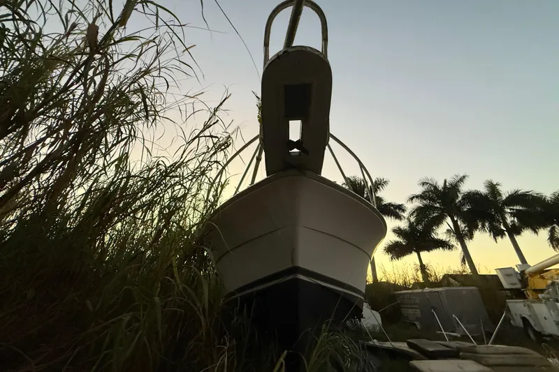 Slide: The Image of 1995 Bertram 46 Moppie boat surrounded by tall grass and palm trees at sunset. - 28