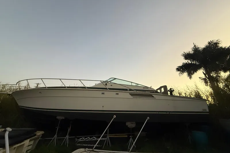 Slide: The Image of 1995 Bertram 46 Moppie boat on land at sunset with palm trees. - 29