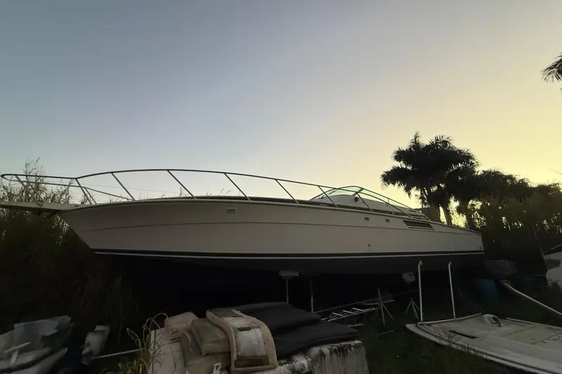 Slide: The Image of 1995 Bertram 46 Moppie boat on land at sunset with palm trees. - 31