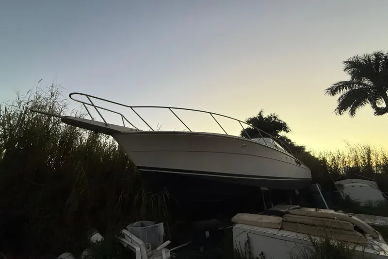 Slide: The Image of 1995 Bertram 46 Moppie boat on land at sunset, surrounded by tall grass and palm trees. - 32