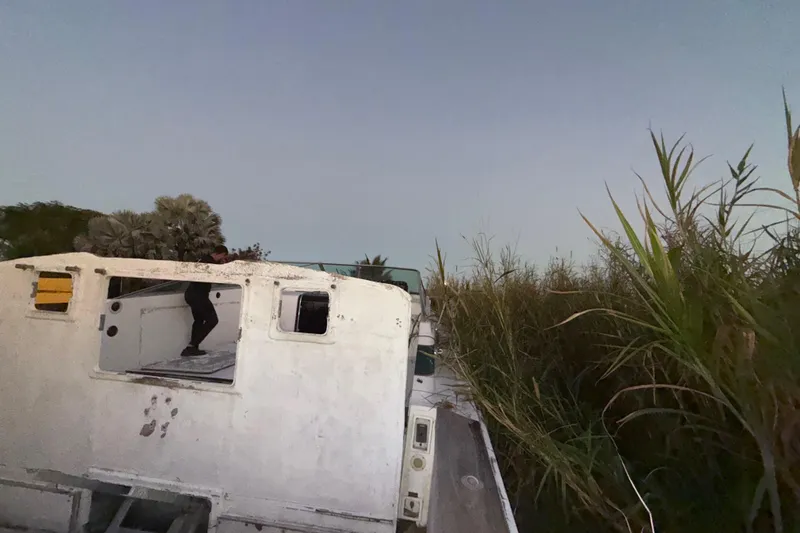 Slide: The Image of Abandoned 1995 Bertram 46 Moppie boat in overgrown vegetation at dusk. - 37