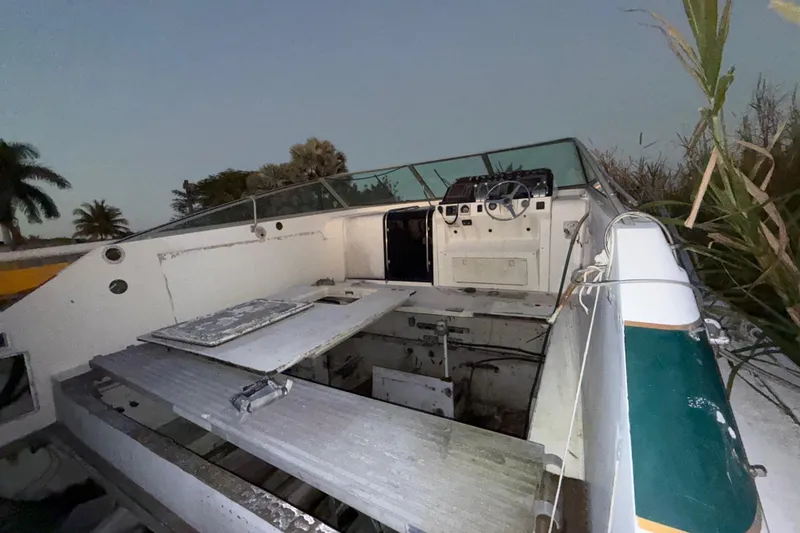 Slide: The Image of 1995 Bertram 46 Moppie boat interior, showing cockpit and helm, surrounded by vegetation. - 39