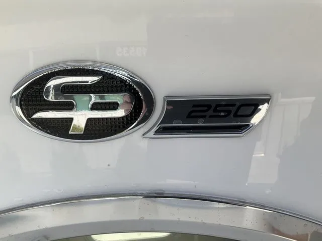 Slide: The Image of Sea Pro 250 DLX 2026 - 11