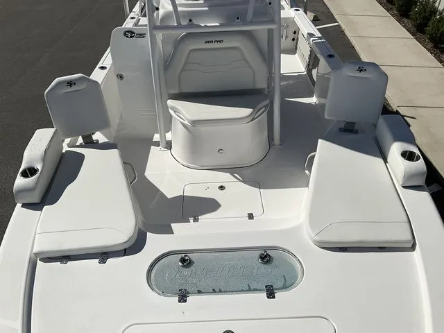 Slide: The Image of Sea Pro 250 DLX 2026 - 15