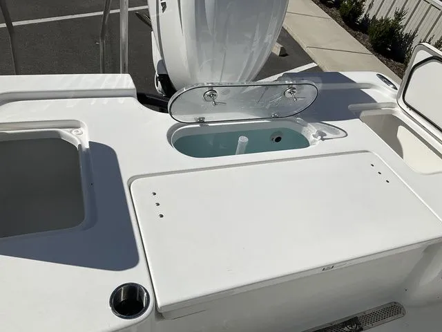 Slide: The Image of Sea Pro 250 DLX 2026 - 18