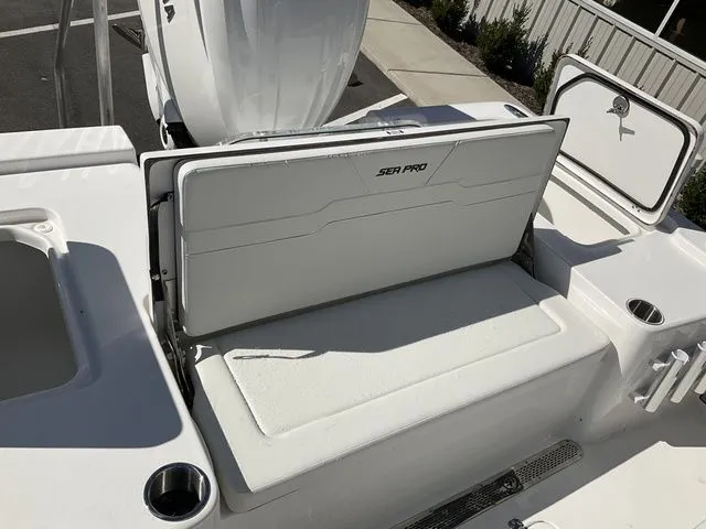 Slide: The Image of Sea Pro 250 DLX 2026 - 19