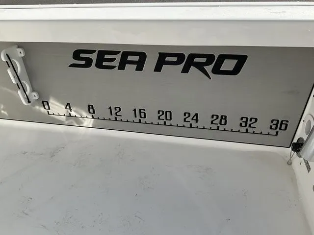 Slide: The Image of Sea Pro 250 DLX 2026 - 21