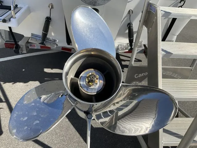 Slide: The Image of Sea Pro 250 DLX 2026 - 22