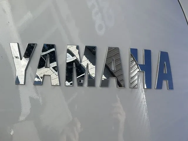 Slide: The Image of Sea Pro 250 DLX 2026 - 28