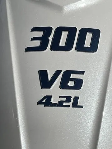 Slide: The Image of Sea Pro 250 DLX 2026 - 29