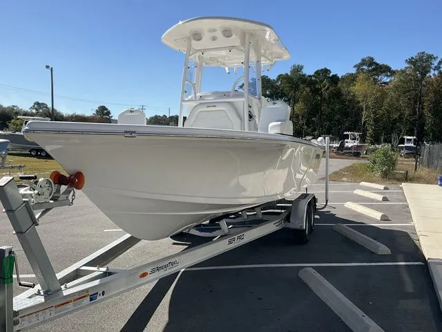 Slide: The Image of Sea Pro 250 DLX 2026 - 3