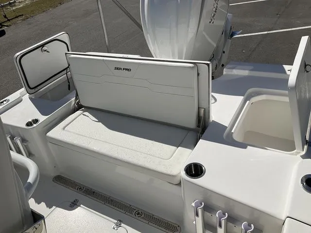 Slide: The Image of Sea Pro 250 DLX 2026 - 8