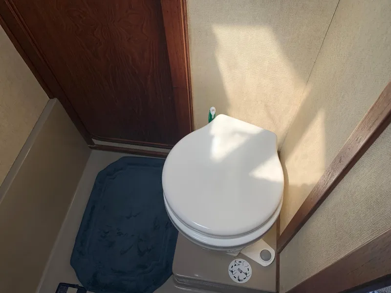 Slide: The Image of Electric Head - 32