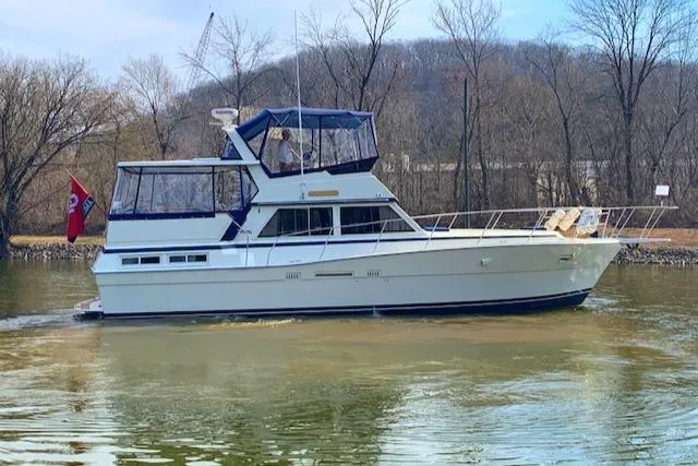 Slide: The Image of Starboard Profile - 3