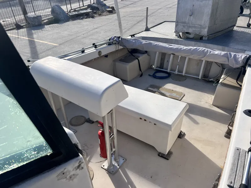 Slide: The Image of Dusky 233 1984 - 12