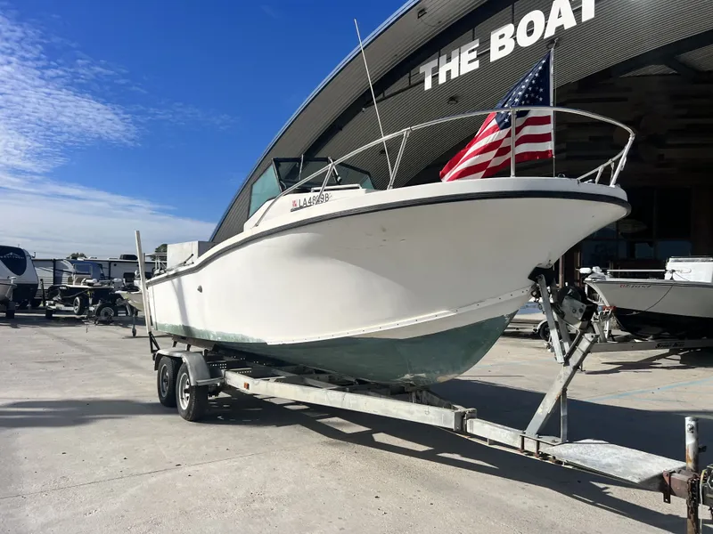 Slide: The Image of Dusky 233 1984 - 15