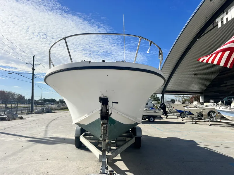 Slide: The Image of Dusky 233 1984 - 16