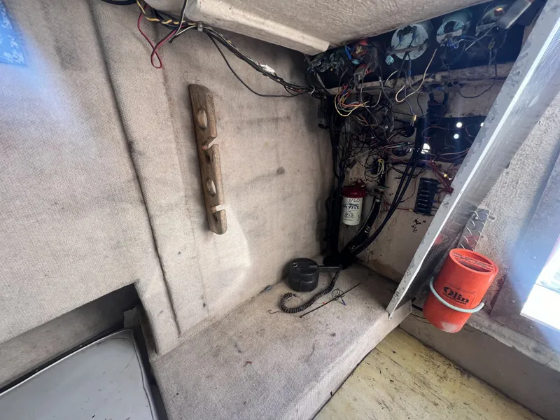 Slide: The Image of Dusky 233 1984 - 25