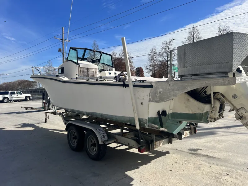 Slide: The Image of Dusky 233 1984 - 4