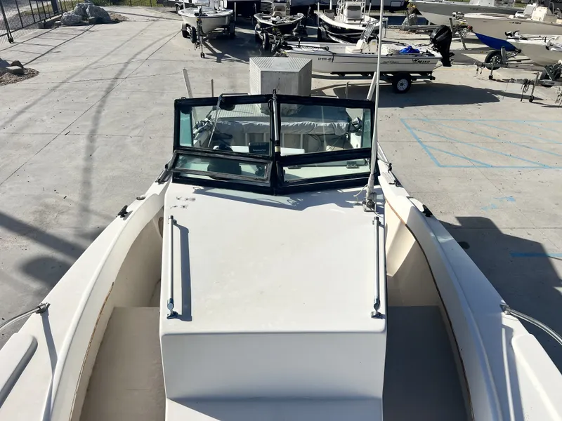 Slide: The Image of Dusky 233 1984 - 7