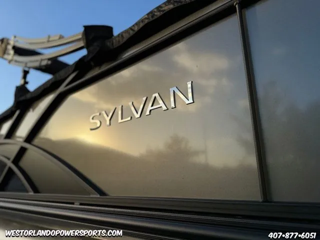 Slide: The Image of Sylvan L3 DLZ 2025 - 8