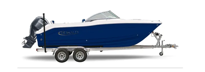 The Image of Robalo Dual Console R 207 2026 - 1