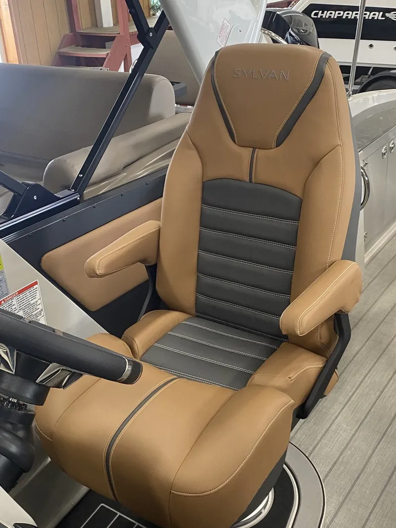 Slide: The Image of Sylvan G3 DLZ DC 2025 - 11