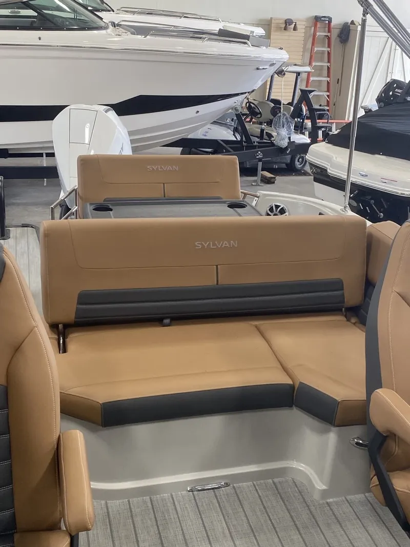 Slide: The Image of Sylvan G3 DLZ DC 2025 - 9