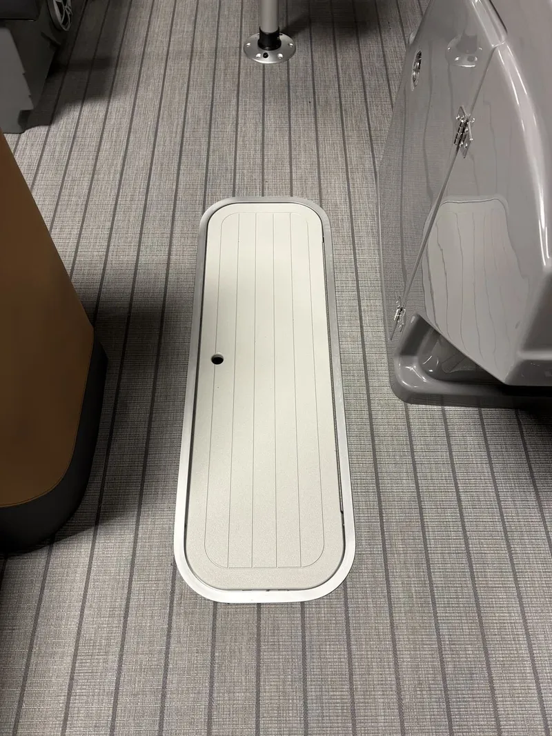 Slide: The Image of Sylvan L1 Party Fish 2026 - 10