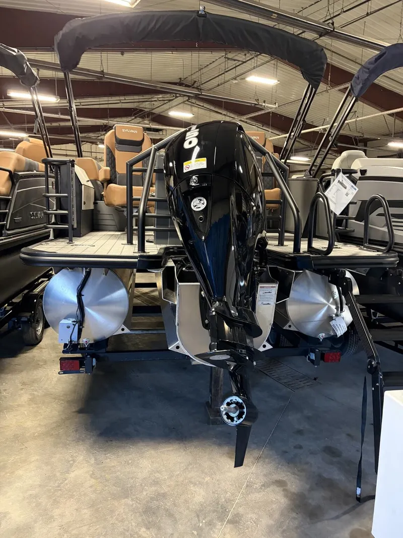 Slide: The Image of Sylvan L1 Party Fish 2026 - 12