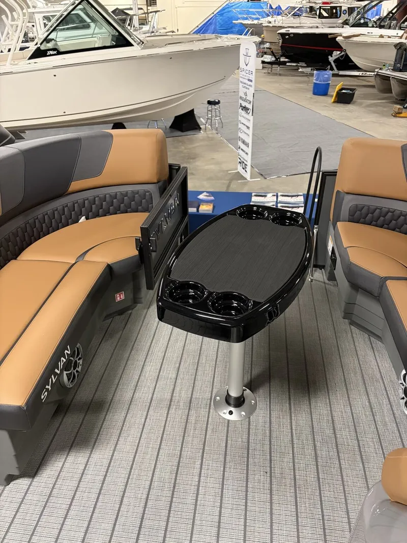 Slide: The Image of Sylvan L1 Party Fish 2026 - 4