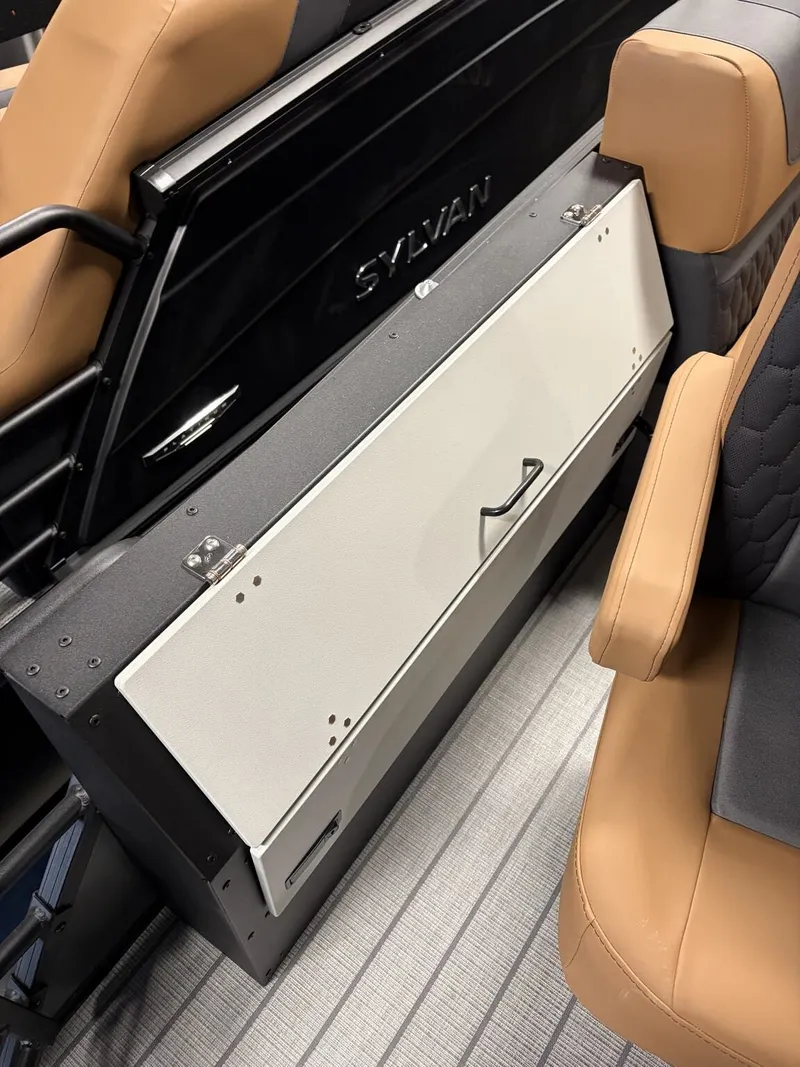 Slide: The Image of Sylvan L1 Party Fish 2026 - 9