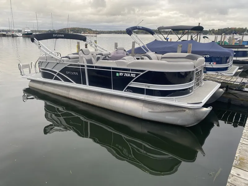 The Image of Sylvan L3 2022 - 1