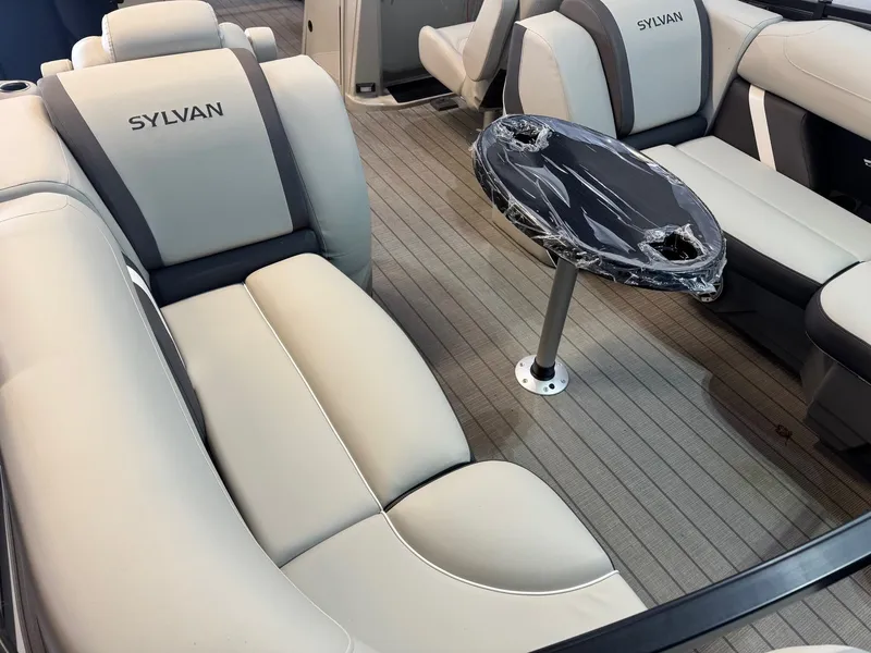 Slide: The Image of Sylvan Mirage X3 2025 - 8