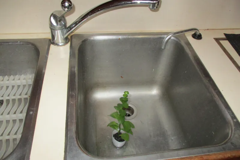 Slide: The Image of Small plant in a kitchen sink with a faucet, 1977 Valiant 40. - 22
