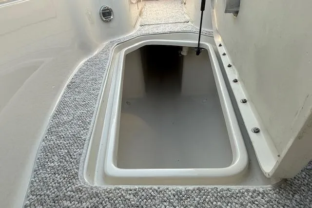 Slide: The Image of Storage compartment on 2005 Sea Ray 220 Sundeck boat, featuring carpeted flooring. - 17
