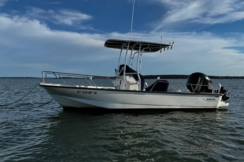 Slide: The Image of Anchor storage compartment on a 2018 Boston Whaler 190 Montauk boat. - 36