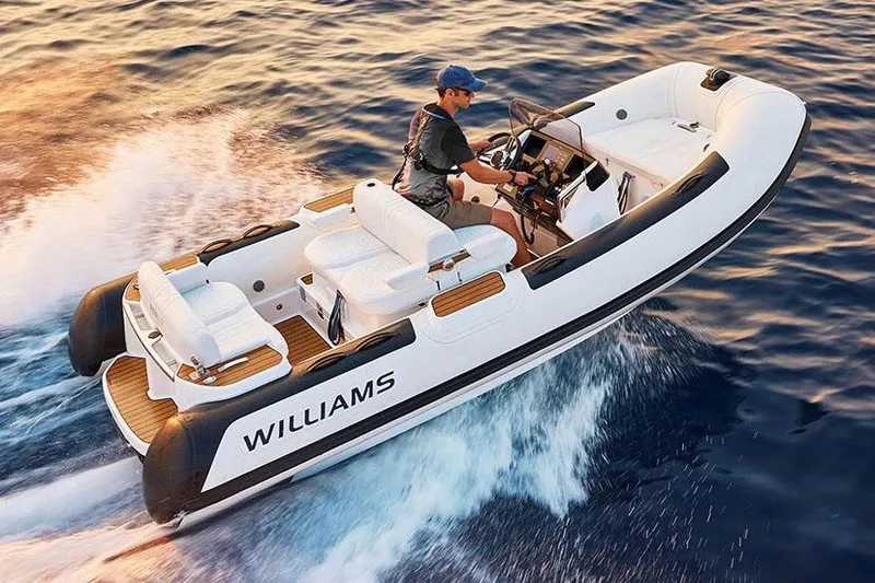 Slide: The Image of Manufacturer Provided Image: Williams Jet Tenders Dieseljet 445 from 2025 on the water. - 8