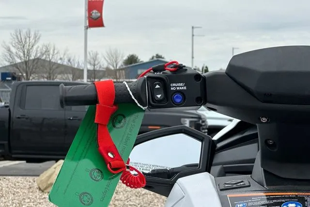 Slide: The Image of 2026 Yamaha WaveRunner VX Cruiser HO controls with safety lanyard. - 14