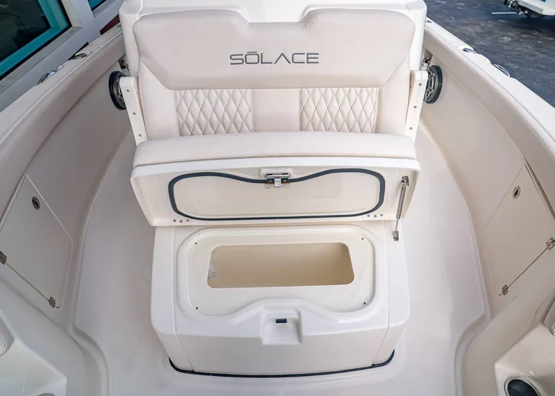 Slide: The Image of Solace 28 HCS 2026 - 31