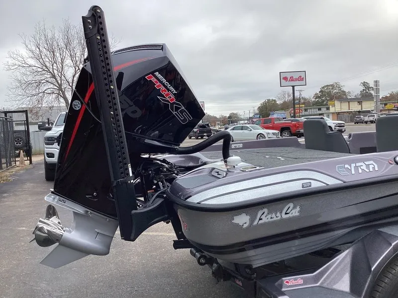 Slide: The Image of Bass Cat Eyra SP 2026 - 10