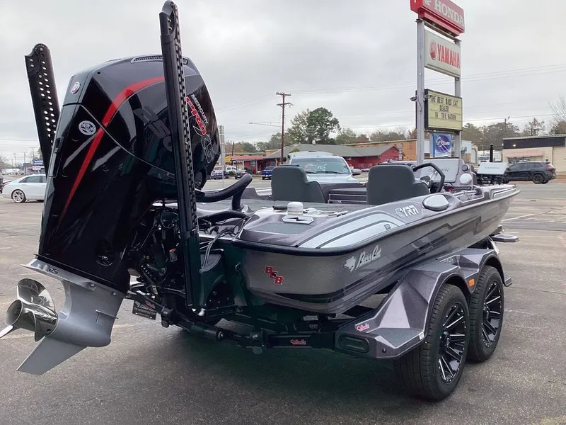 Slide: The Image of Bass Cat Eyra SP 2026 - 11