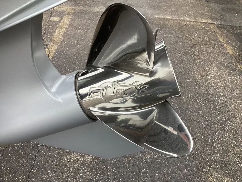 Slide: The Image of Bass Cat Eyra SP 2026 - 13