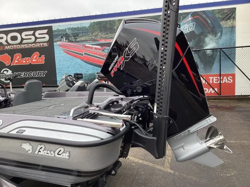 Slide: The Image of Bass Cat Eyra SP 2026 - 15