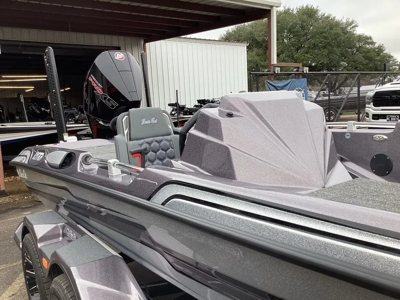 Slide: The Image of Bass Cat Eyra SP 2026 - 25