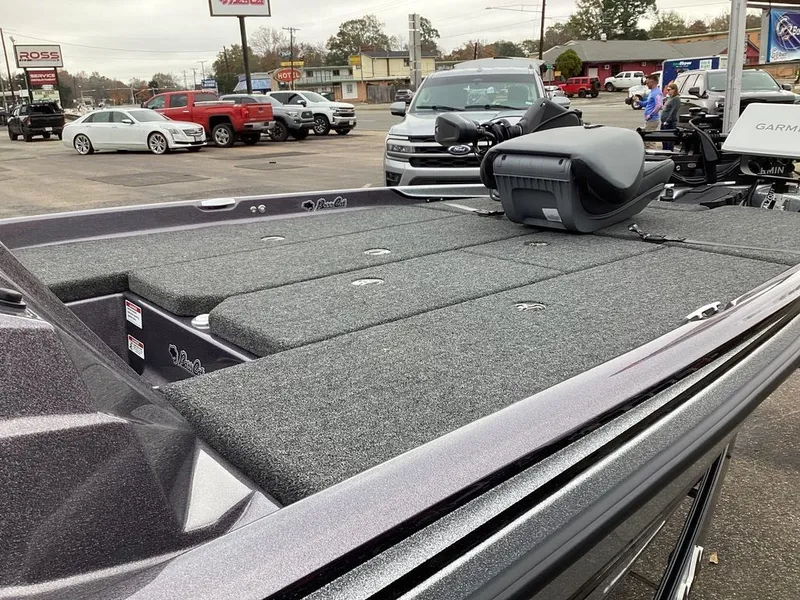 Slide: The Image of Bass Cat Eyra SP 2026 - 27