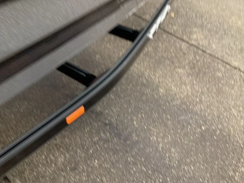 Slide: The Image of Bass Cat Eyra SP 2026 - 28